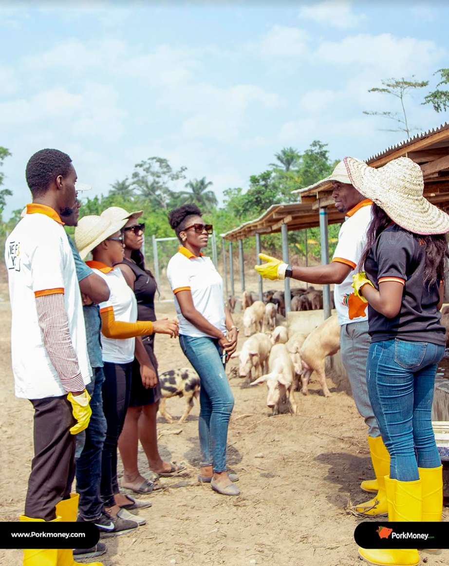 pork money nigeria team