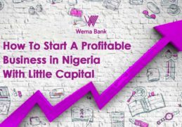 how to start a profitable business in nigeria with capital