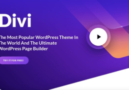 divi wordpress themes and theme builder